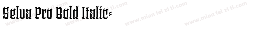 Selva Pro Bold Italic字体转换